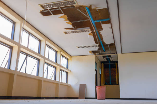 Best 24/7 water damage repair  in Harrisburg, OR