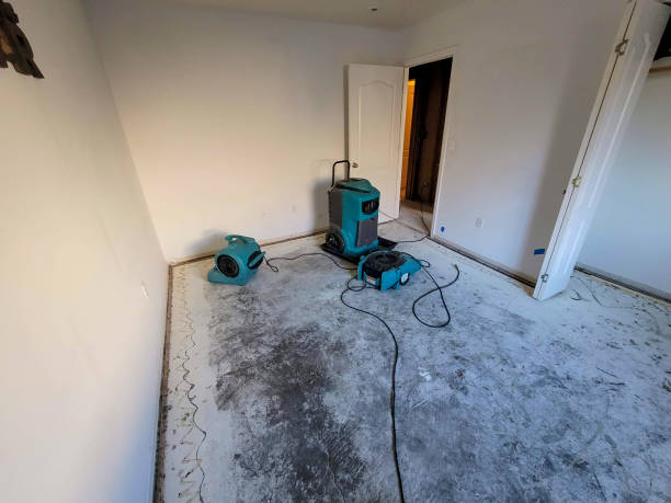 Best Sewage cleanup and water damage restoration  in Harrisburg, OR
