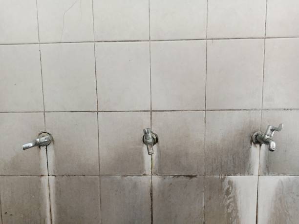 Best Ceiling water damage repair  in Harrisburg, OR