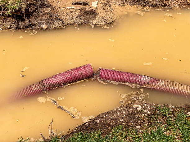 Best Flood damage cleanup  in Harrisburg, OR