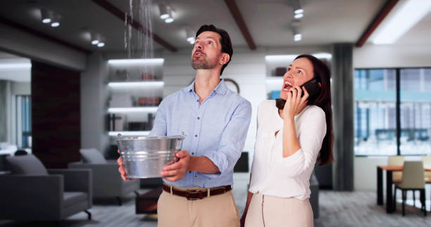 Best Basement water damage restoration  in Harrisburg, OR